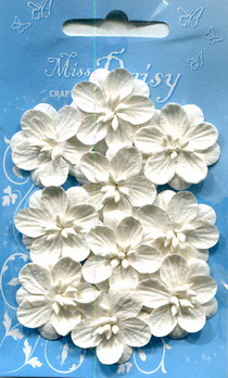 Set of 10 cherryblossoms white
