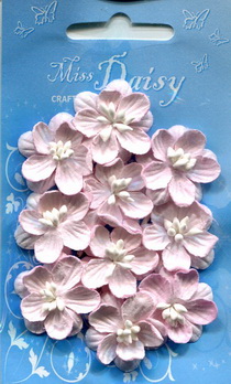 Set of 10 cherryblossoms light rose