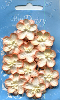 Set of 10 cherryblossoms peach crme