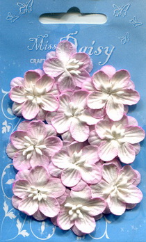 Set of 10 cherryblossoms rose white