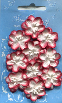 Set of 10 cherryblossoms red white