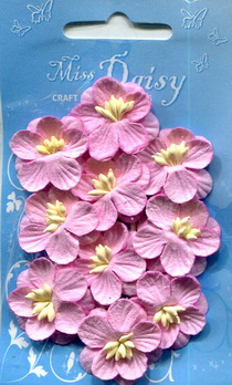 Set of 10 cherryblossoms rose