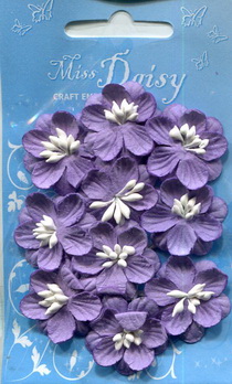 Set of 10 cherryblossoms violet
