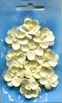 Set of 10 cherryblossoms cream