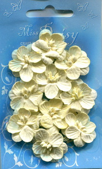 Set of 10 cherryblossoms cream