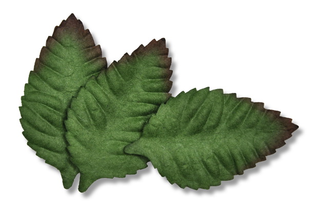 LEAF 50X28mm