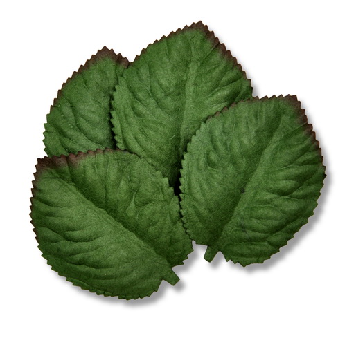 ROSE LEAF 55x45mm