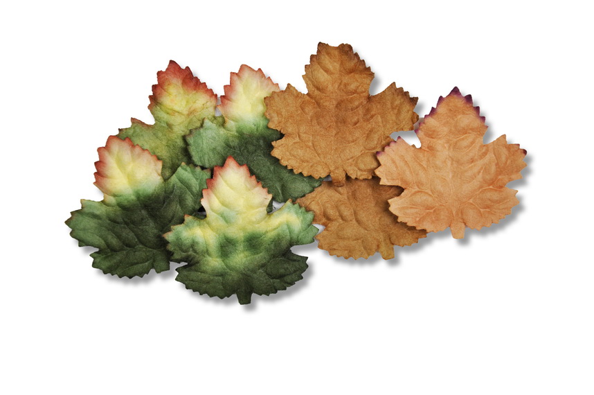 CANDIAN MAPLE LEAF  40x40mm