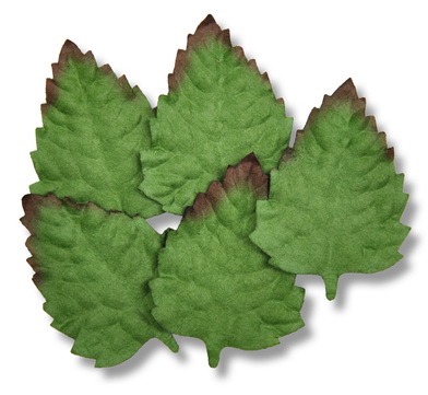 LEAF 45x30mm