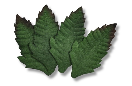 LEAF  45x25mm