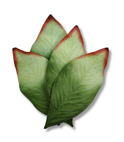 GIANT MANGOLEAF 150x50mm