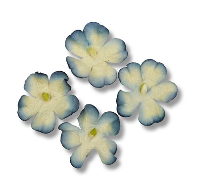 SMALL PETAL  23mm