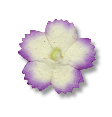 SMALL PETAL  22mm