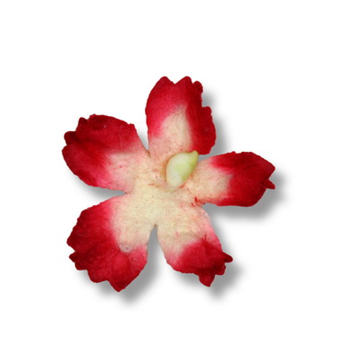 SMALL PETAL  23mm