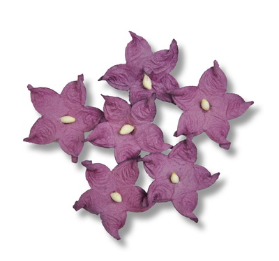 SMALL PETAL  23mm