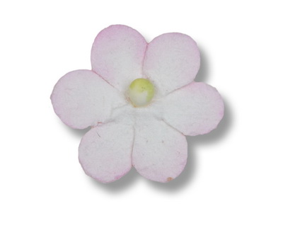 SMALL PETAL 22mm