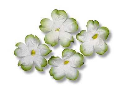 SMALL PETAL   20mm