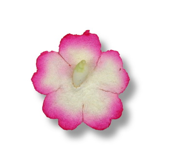 SMALL PETAL   17mm