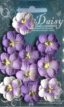 Set of 10 cherryblossoms shaded lavender
