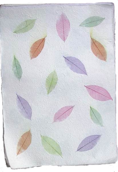 Handmade Mulberry Paper<br>with natural rubber tree leaves mixed colours on white paper