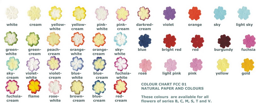 Colour chart for small and standard flowers and roses