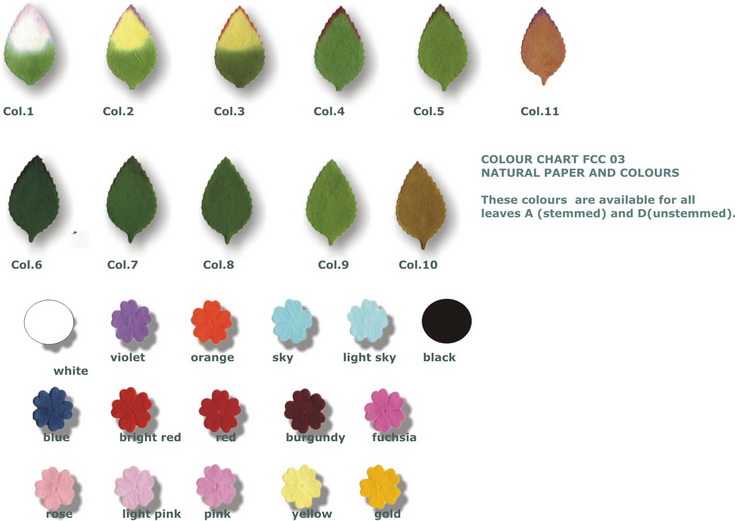 Colour chart for all leaves