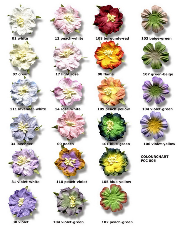 Colour chart for all Gardenias and boxwood/dogwood