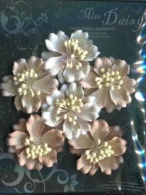 Set of 6 Gardenias 50mm <br>matching colour set<br>soft beige