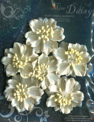 Set of 6 Gardenias 50mm <br>matching colour set<br>cream