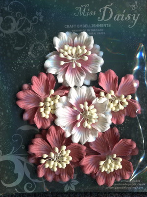 Set of 6 Gardenias 50mm <br>matching colour set<br>soft red