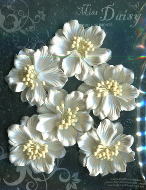 Set of 6 Gardenias 50mm <br>matching colour set<br>white