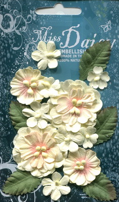Set of flowers and leaves in pastel colours, cream