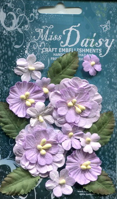Set of flowers and leaves in pastel colours, lavender