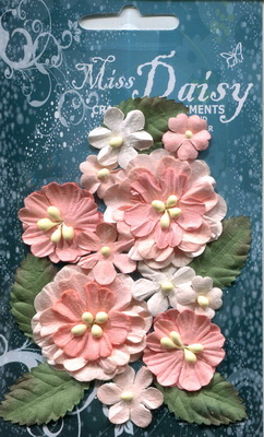 Set of flowers and leaves in pastel colours, peach