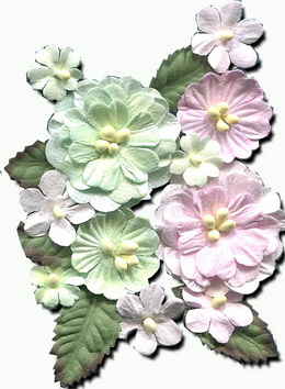 Set of flowers and leaves in pastel colours, rose-green