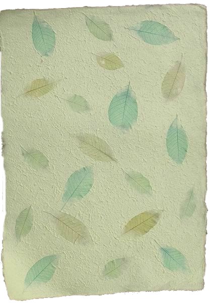Handmade Mulberry Paper<br>with natural rubber tree leaves green on pale green paper