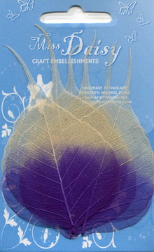 Set of 8 Banyan leaves 7-8cm natural violet