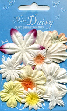 Mixed Flower Set creams