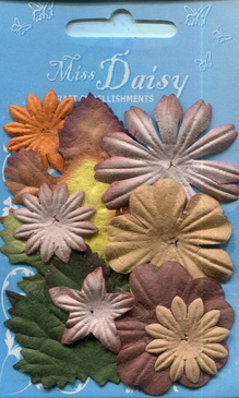 Mixed Flower Set browns