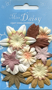 Mixed Flower Set beige