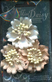Set of 3 Gardenias 50mm <br>matching colour set<br>soft beige