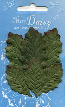 Set of 7 small holly leaves