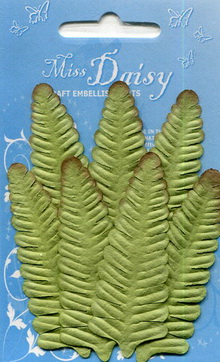 Set of 7 fern leaves
