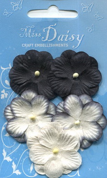 Pansies set black white