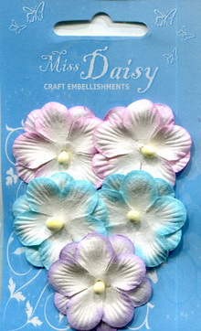 Pansies set pastel