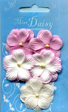 Pansies set pink