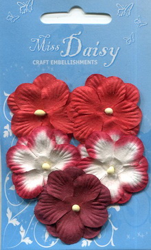 Pansies set red