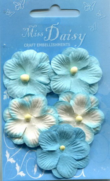 Pansies set turquoise