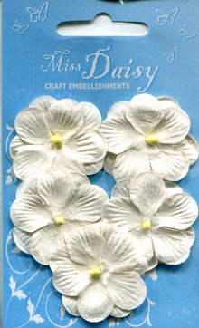 Pansies set white