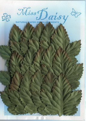 Set of 15 large maple leaves
